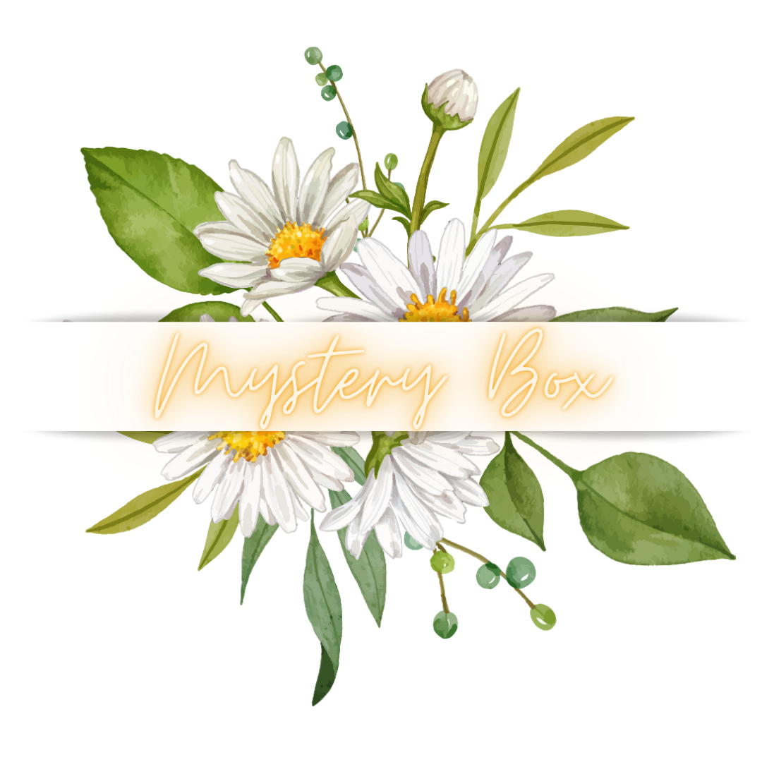Mystery Box